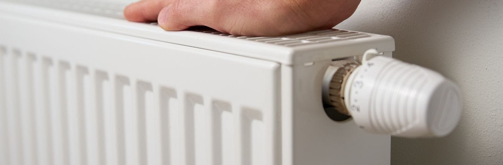 Service item page header